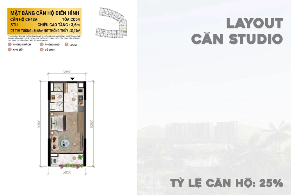 layout can studio